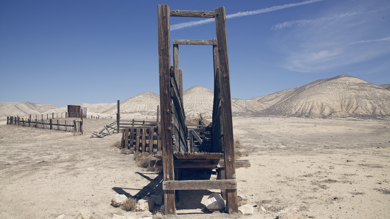 Illustration for article titled Inside California's Forgotten Grasslands